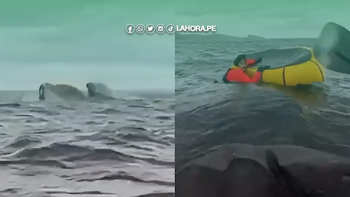 Joven es tragado por una ballena mientras realizaba packrafting